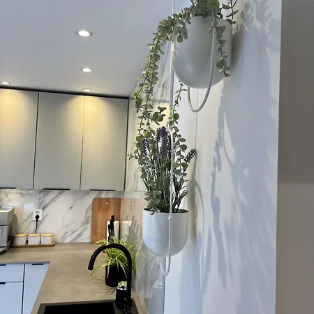 Exclusive In Historical House, Apartamento